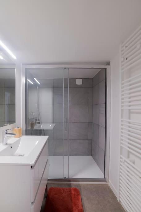 Appartement Cosy Hyper Centre 에피날 외부 사진